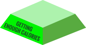 Sports Nutrition Pyramid Tier 1